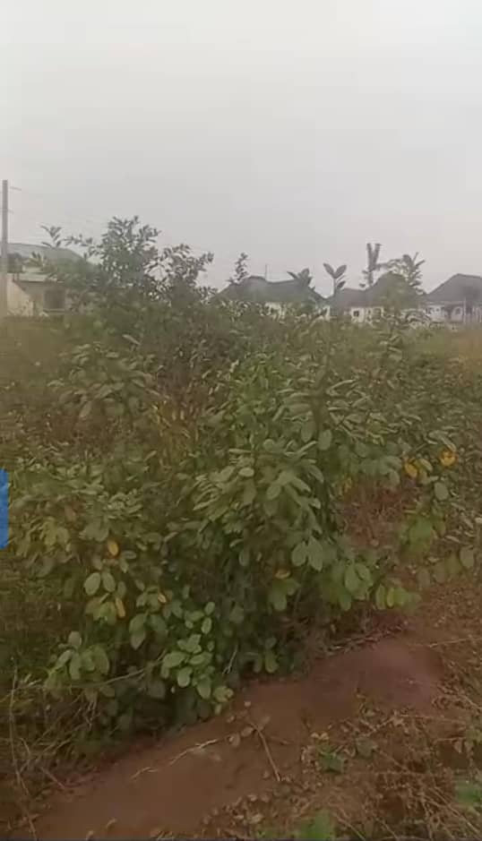 Land for Sale in Off Jeff, Ibusa road, Delta cover picture