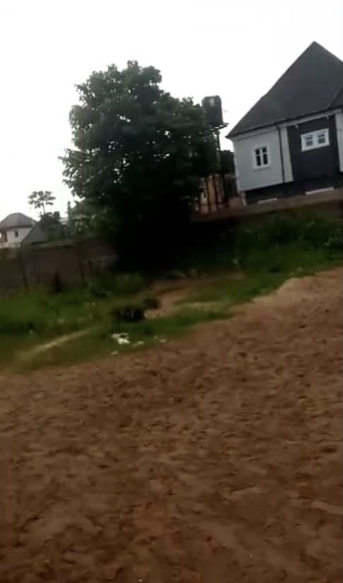 Land for Sale in Asaba, Delta cover picture