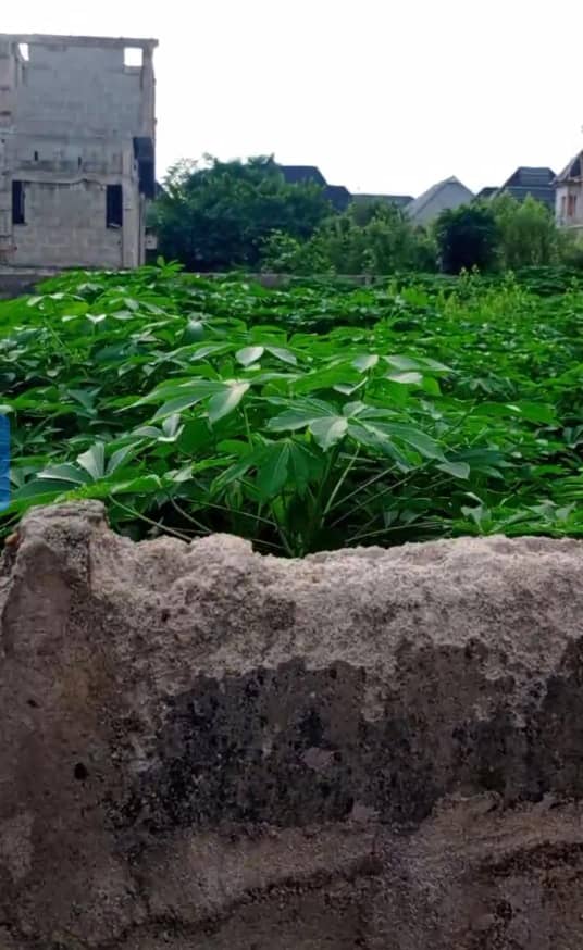 Land for Sale in Okpanam, Delta cover picture