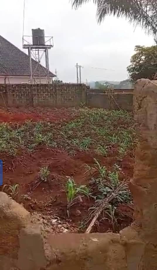 Land for Sale in Asaba, Delta cover picture