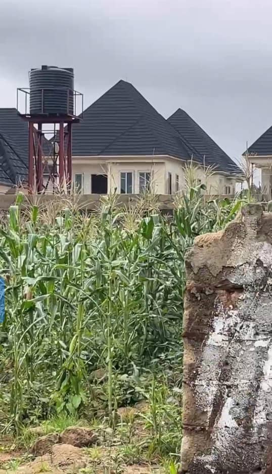 Land for Sale in Asaba, Delta cover picture