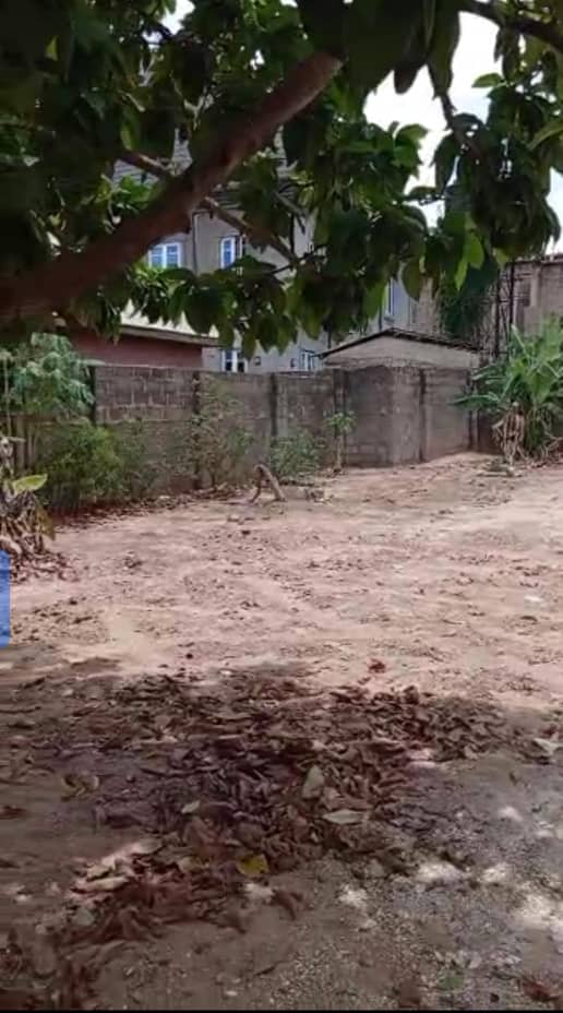 Land for Sale in Patrick Uka way, Delta cover picture