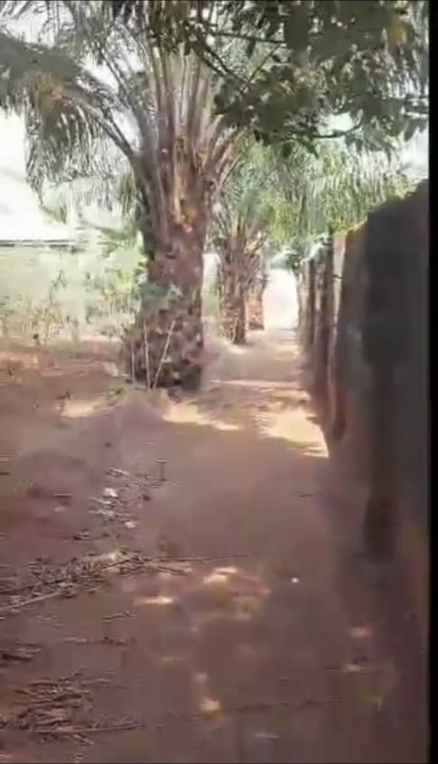 Land for Sale in Iselle Azagba, Delta cover picture