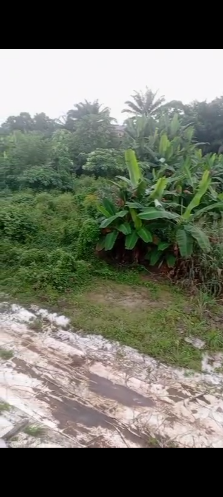 Land for Sale in Asaba, Delta cover picture
