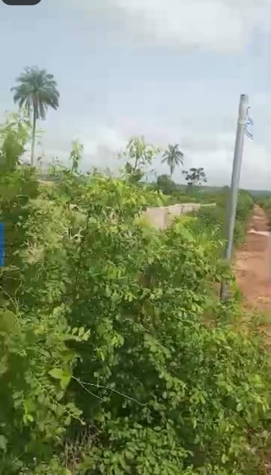 Land for Sale in Okpanam, Delta cover picture