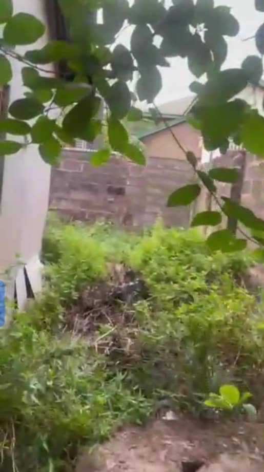 Land for Sale in Nnebisi Road, Delta cover picture