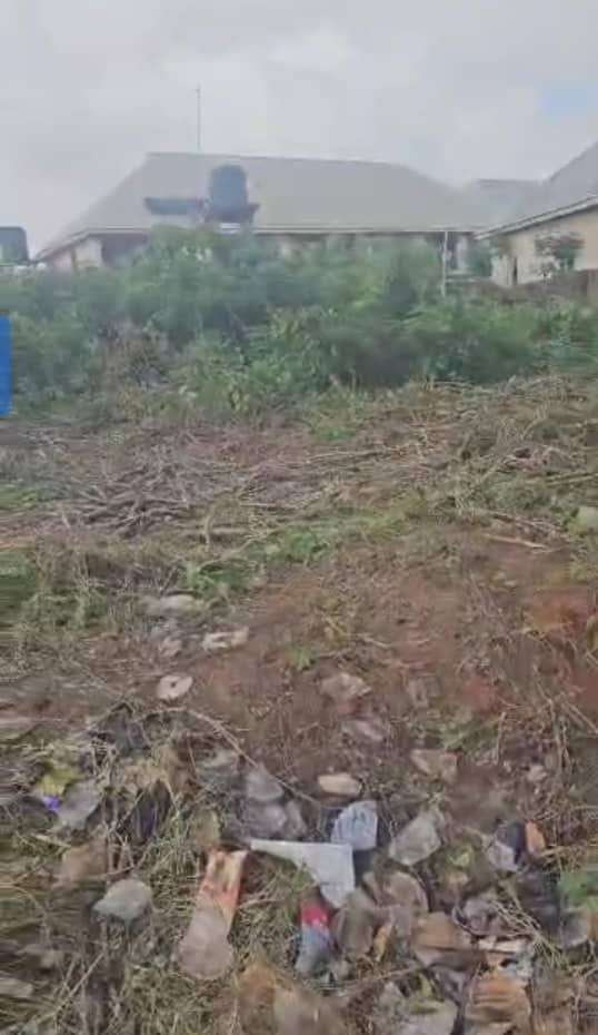 Land for Sale in Asaba, Delta cover picture