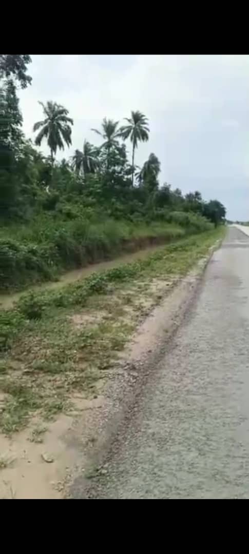 Land for Sale in Aziza Junction, Delta cover picture