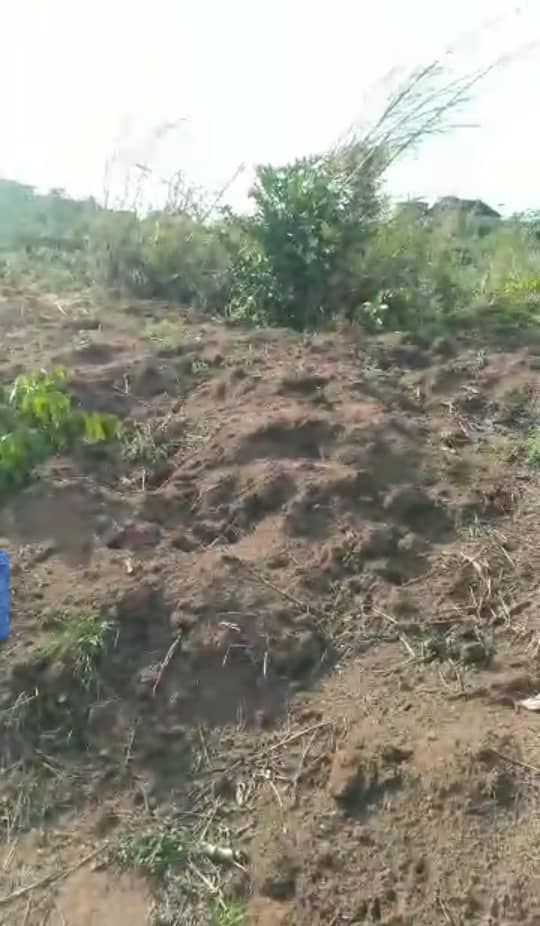 Land for Sale in Asaba, Delta cover picture