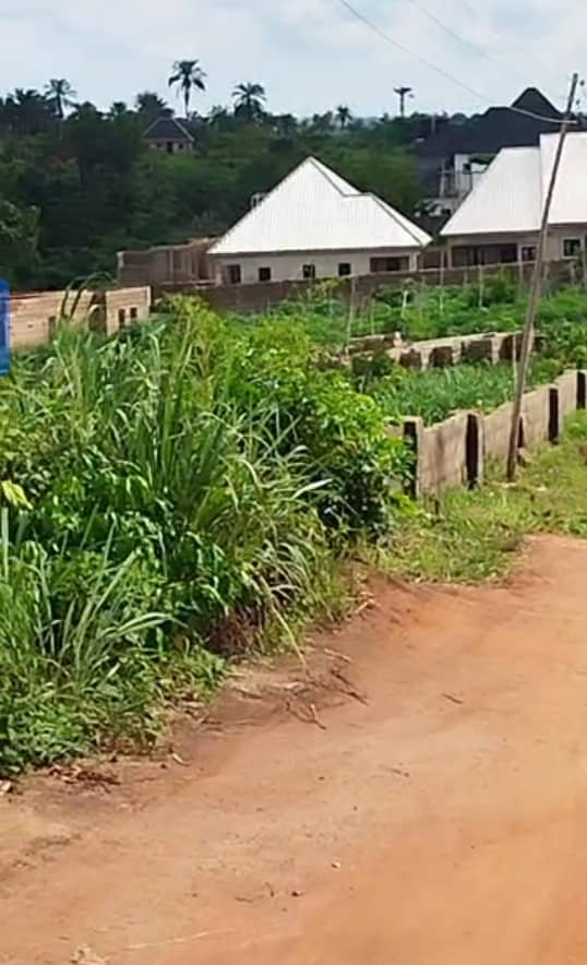 Land for Sale in Amachai, Delta cover picture