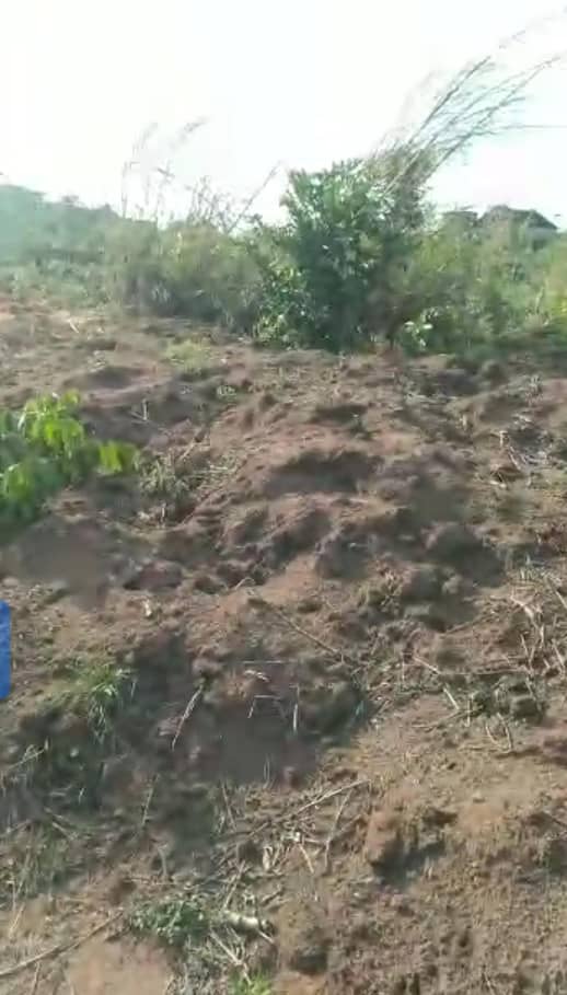 Land for Sale in Ogbeobi, Delta cover picture