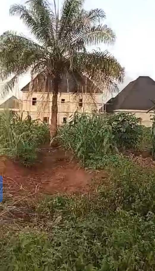 Land for Sale in Asaba, Delta cover picture