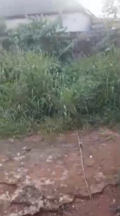 Land for Sale in Asaba, Delta cover picture