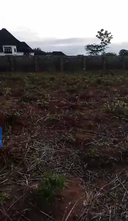 Land for Sale in Okpanam town, Delta cover picture