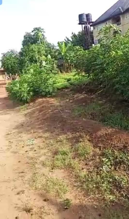 Land for Sale in Uju Junction, Delta cover picture