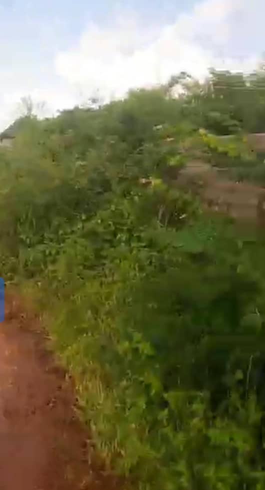 Land for Sale in Mungo park, Delta cover picture