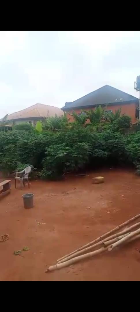 Land for Sale in Akpu Road, Delta cover picture