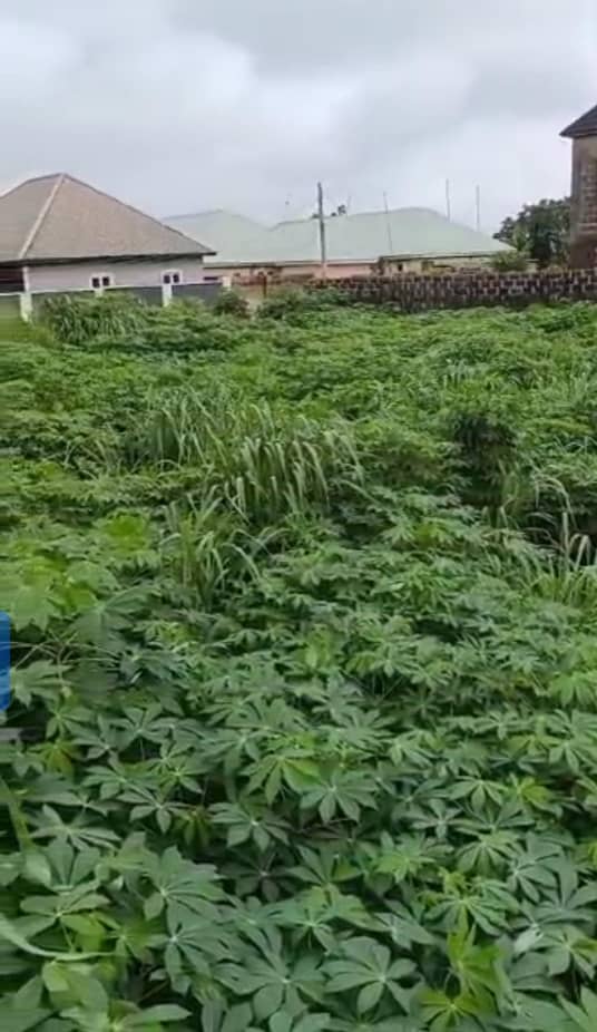 Land for Sale in Asaba, Delta cover picture