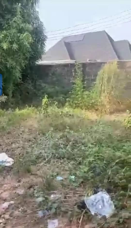 Land for Sale in Okpanam Road, Delta cover picture