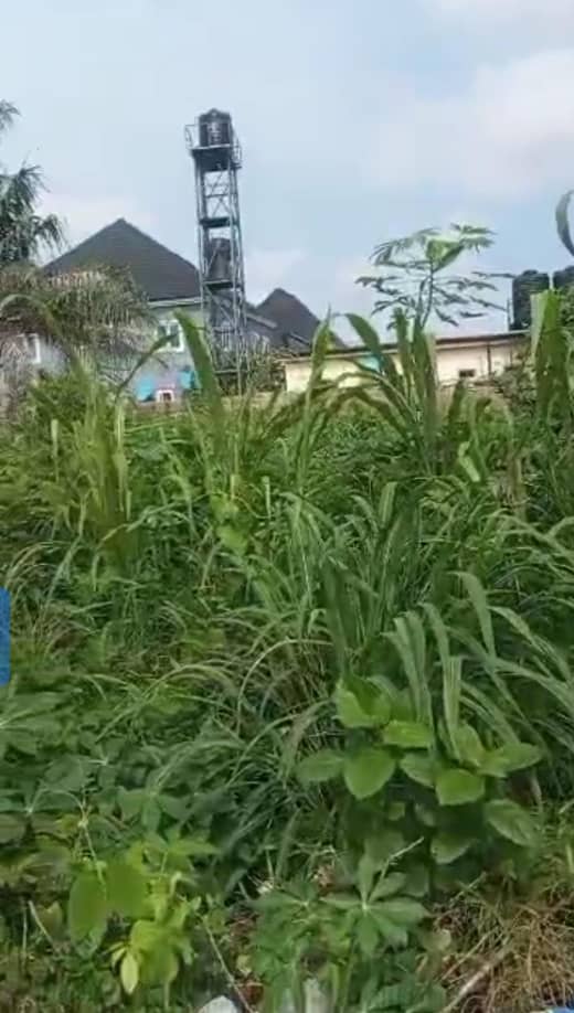 Land for Sale in Asaba, Delta cover picture