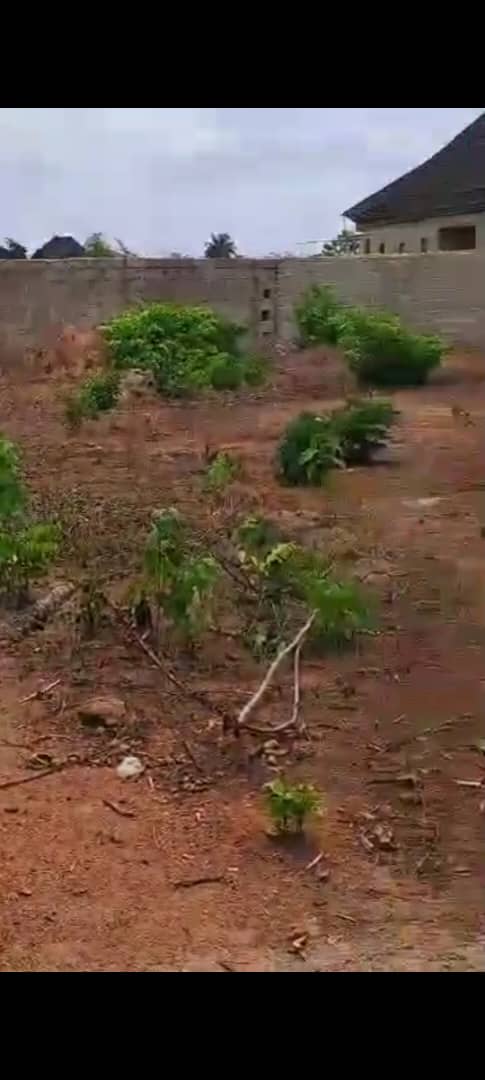 Land for Sale in Commissioner, Delta cover picture