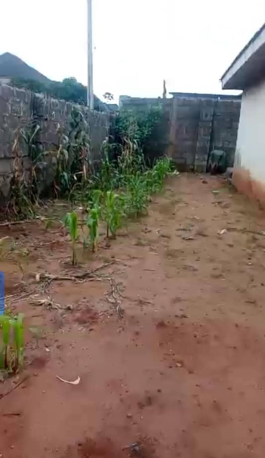 Land for Sale in Asaba, Delta cover picture