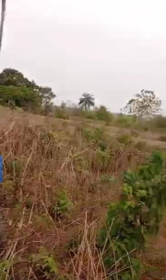 Land for Sale in Back of Asaba International Airport, Delta cover picture