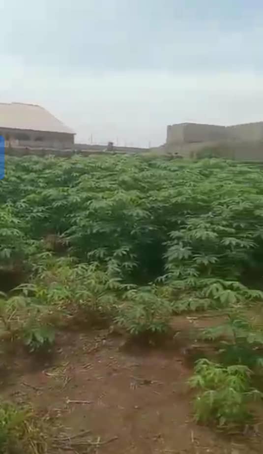 Land for Sale in Asaba, Delta cover picture