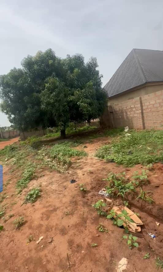 Land for Sale in Okpanam, Delta cover picture