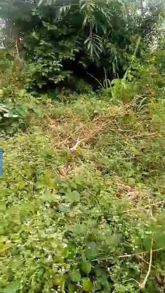 Land for Sale in Azagba Ogwashi, Delta cover picture