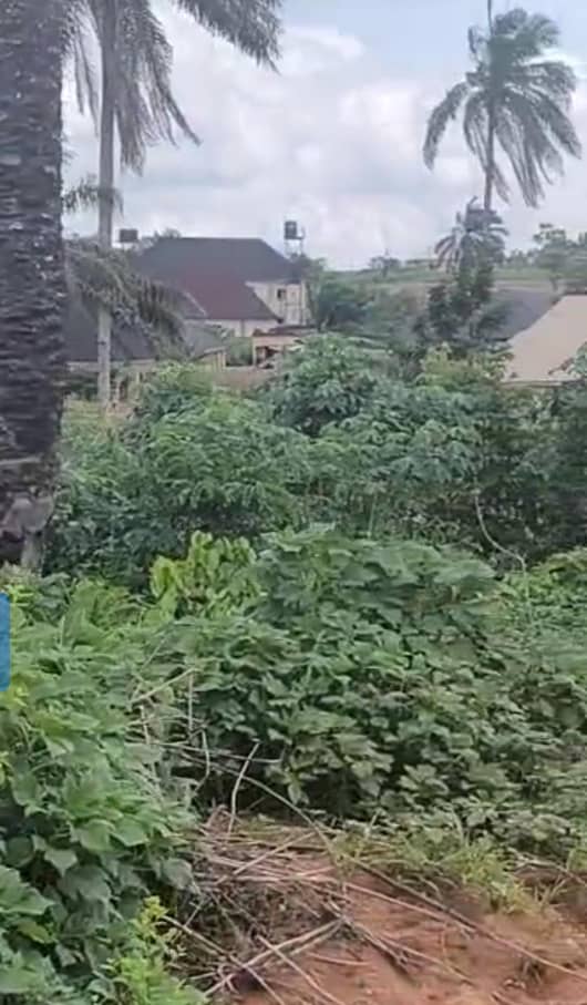 Land for Sale in Okpanam, Delta cover picture