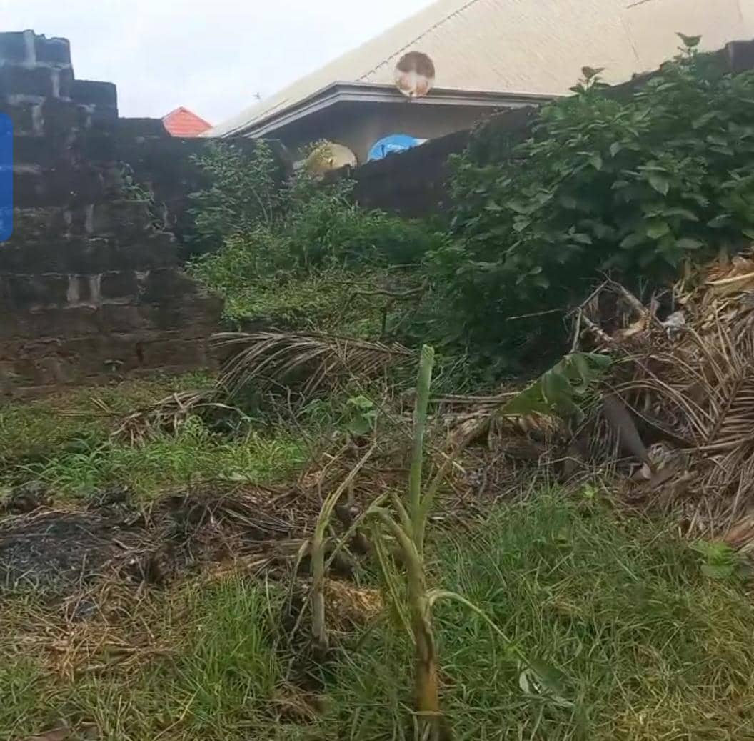 Land for Sale in Asaba, Delta cover picture