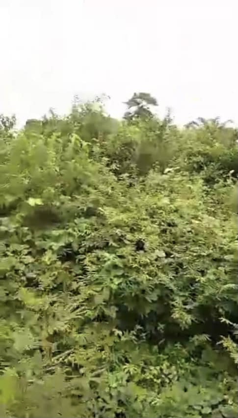 Land for Sale in Asaba, Delta cover picture