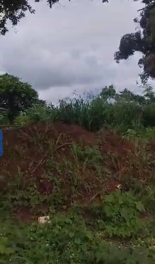 Land for Sale in Issele Azagba, Delta cover picture
