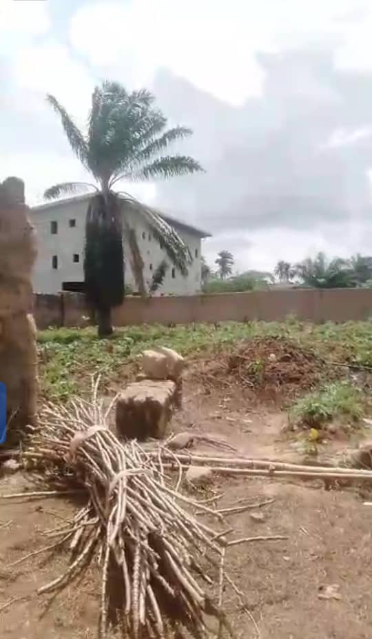 Land for Sale in Okpanam, Delta cover picture