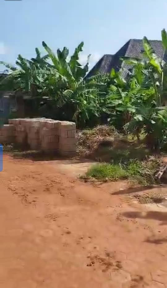 Land for Sale in Okpanam, Delta cover picture