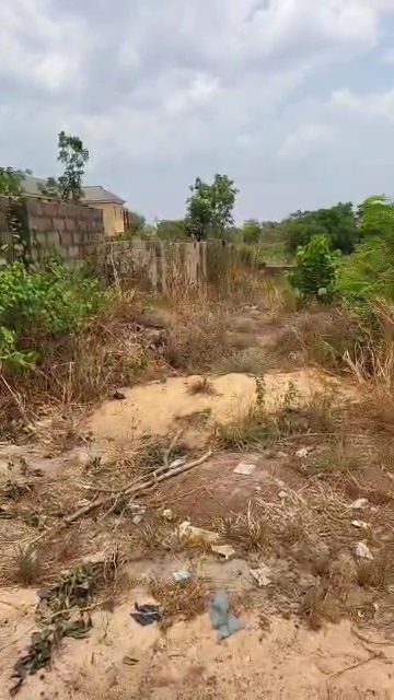 Land for Sale in Umuchigbo Emene, Enugu cover picture