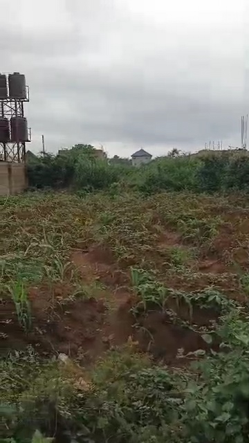 Land for Sale in Emene, Enugu cover picture