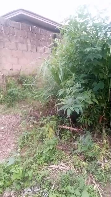 Land for Sale in Transekulu, Enugu cover picture