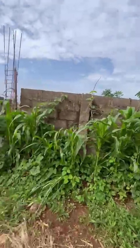 Land for Sale in Mary land, Enugu cover picture