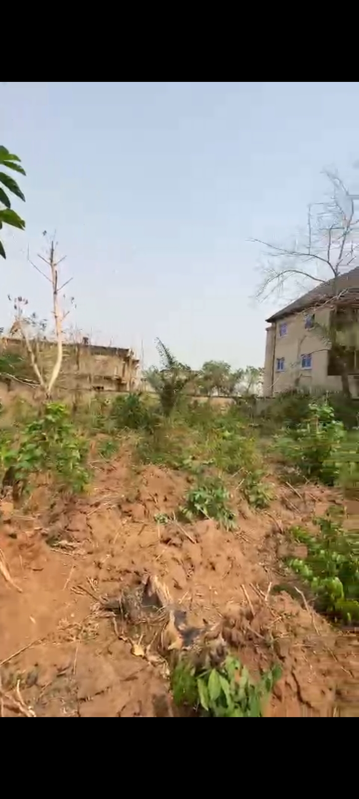 520SQ METERS OF LAND cover picture