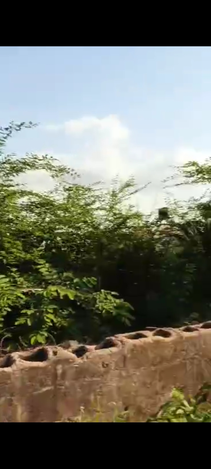 Land for Sale in Trinity Estate, Enugu cover picture