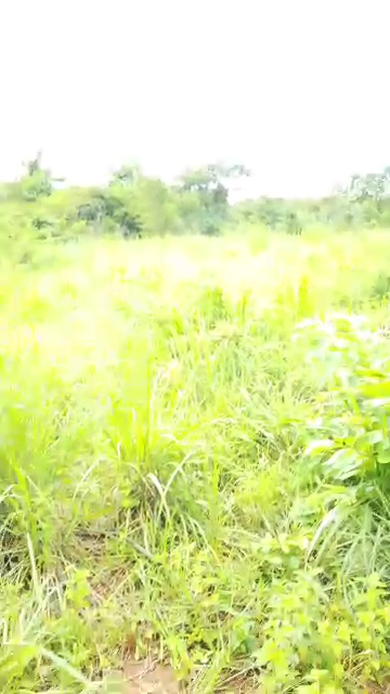 Land in Amodu Enugu cover picture