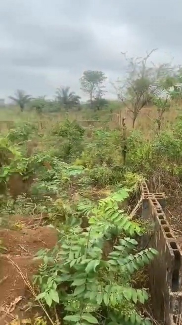 Land for Sale in Uwani, Enugu cover picture