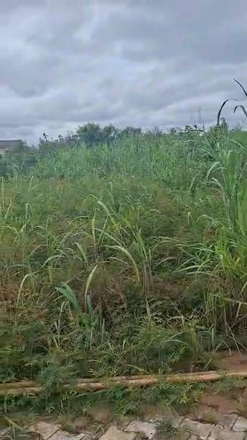 Land for Sale in Centenary, Enugu cover picture