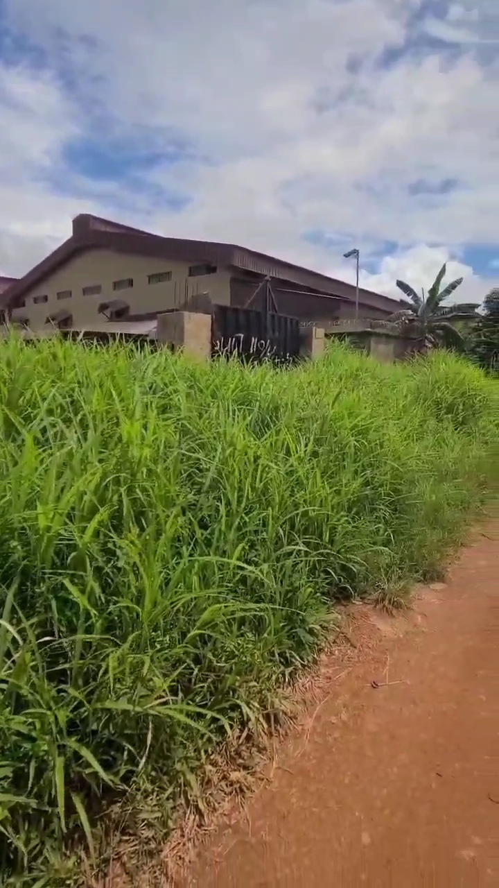 Land for Sale in Anamco Emene, Enugu cover picture