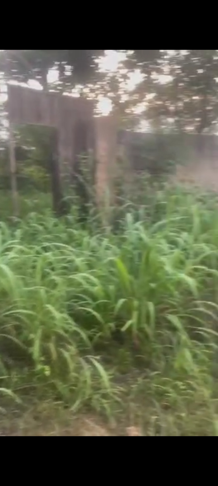 Land for Sale in Jedidiah estate, Enugu cover picture