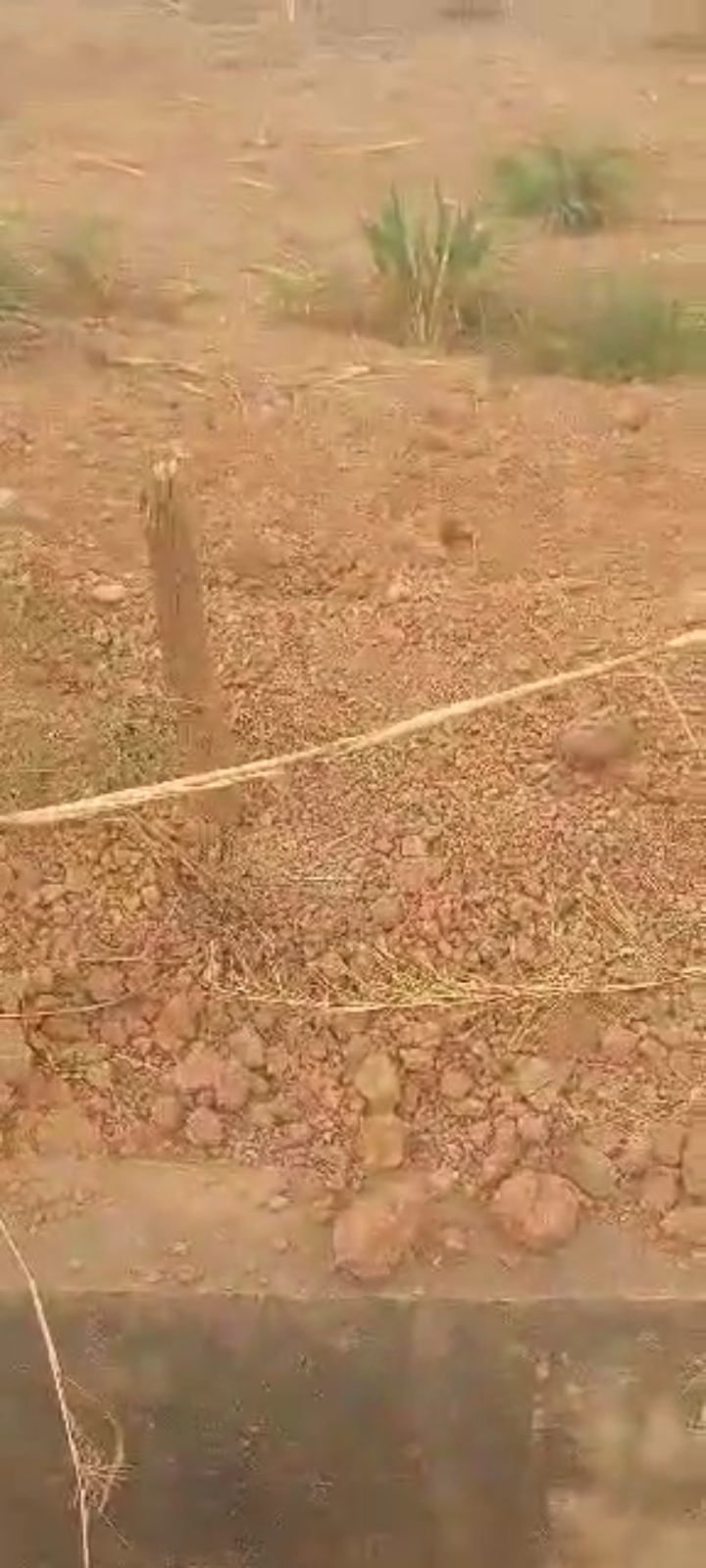 750sqm of land cover picture
