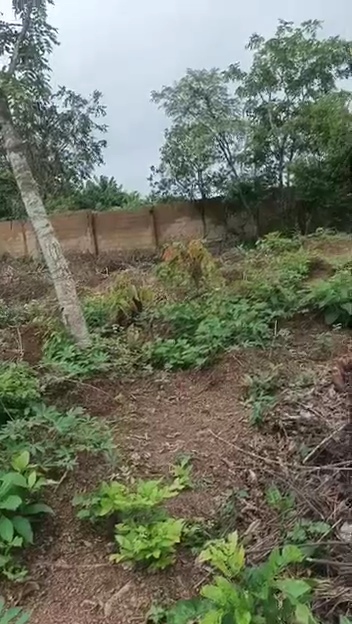 Land for Sale in Emene, Enugu cover picture