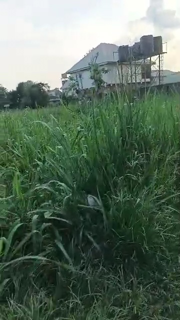 Land for Sale in Emene, Enugu cover picture